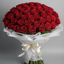 Букет 101 Красная роза Блэк Мэджик в Гремячево