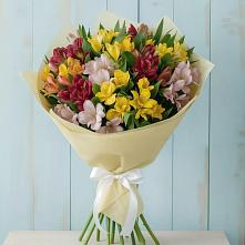Букет цветов из:  Альстромерии в Гремячево
