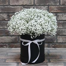 Цветочная композиция из Гипсофила в шляпной коробке #REPLACE_PRED# Гремячево