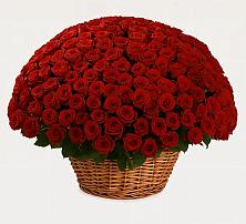 Премиум букет из: Розы в Гремячево