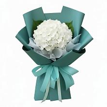 Букет цветов из:  Гортензия в Гремячево